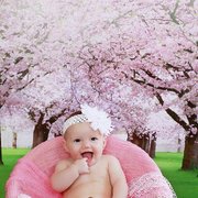 Gallery image #17