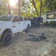 Yard Waste Clean Up