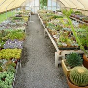 In one of the greenhouses