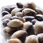 a plate of shelled clams