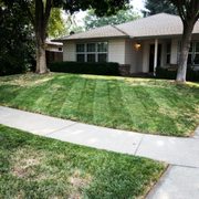 the front yard of a house