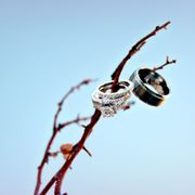 Gallery image #6