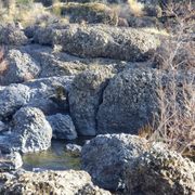 Upper Bidwell Park - Yahi Trail
