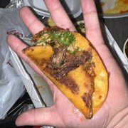 Size of taco