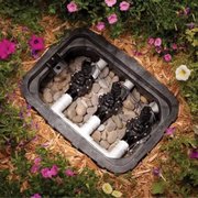 a garden with flowers and rocks