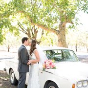 Alex & Julie's wedding at Gale Vineyards