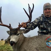 California Blacktail Deer Hunts
