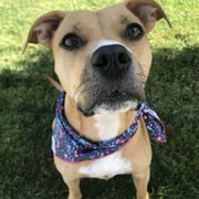 Molly thanks you for the extra TLC during her treatment.