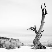 Solitude