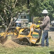 Grinding stump