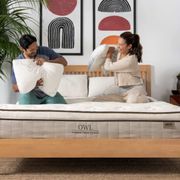 The Owl Latex Hybrid. The internets number one rated Latex Hybrid mattress.