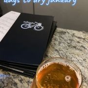 Revision IPA