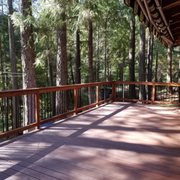 a deck in the woods