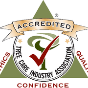 certified tree service