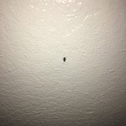 They have roaches here!! I wouldn't recommend this hotel to anyone.