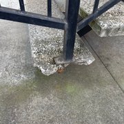 concrete gone showing rusty screw under
