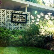 Mecca Salon (Michelle Mahood Photography)