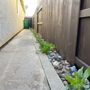 a narrow sidewalk with rocks and plants