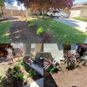 Some transplanting for a costumer along with adding new plants.