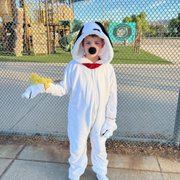 Snoopy