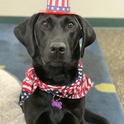 Justice loves justice!