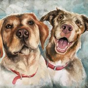 Traditional Watercolor Pet Portrait