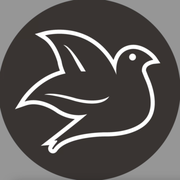 a white dove on a black background