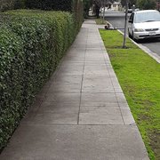 Downtown Oroville - perfectly trimmed hedges
