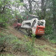 Bobcat at work