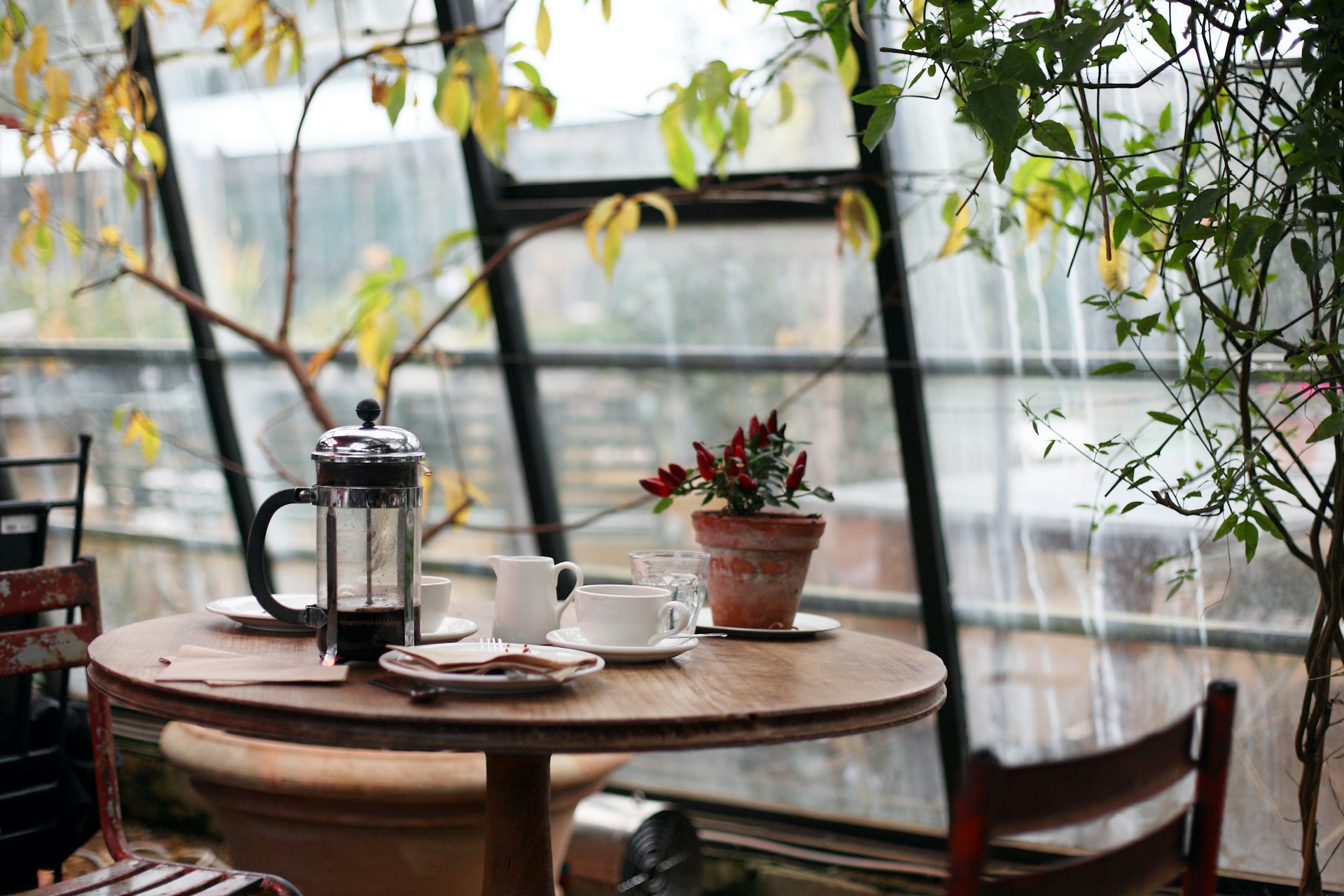 Where to Eat in Chico, California — Top Places for Every Taste, According to Locals